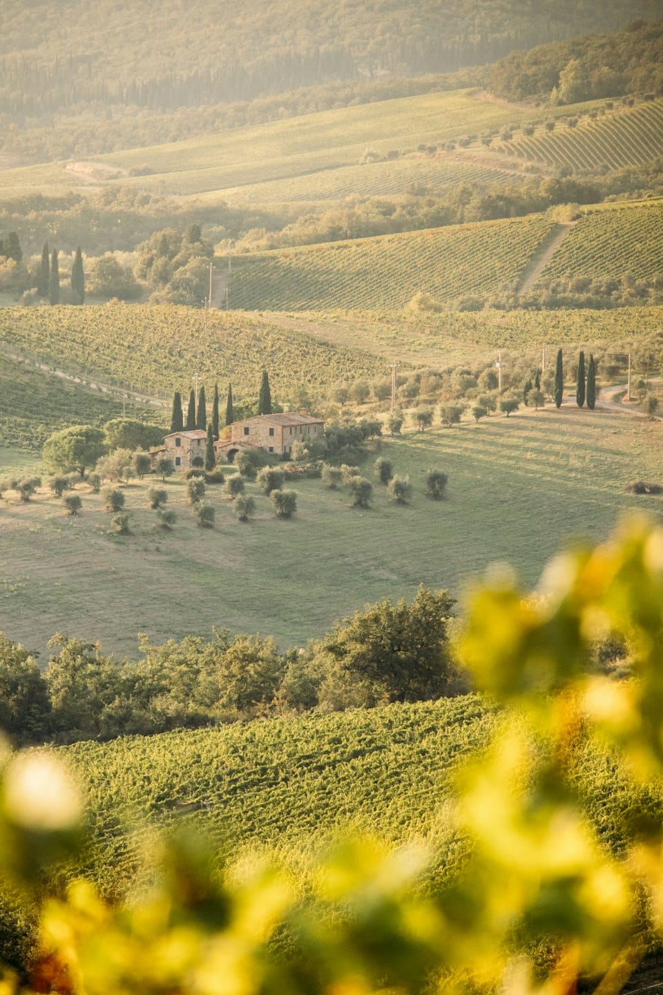 Colline di vigneti con una casa colonica in pietra e cipressi.